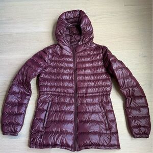 Uniqlo Dark Purple Puffer Jacket